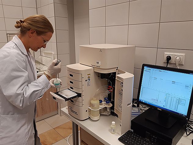 Fragment analyzer
